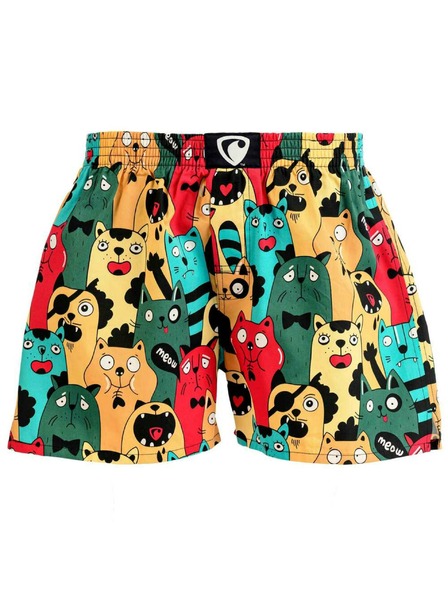 Represent Shorts bărbați EXCLUSIV ALI CAT FANS Reprezintă