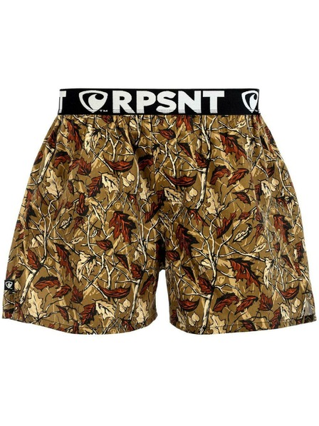 Represent Pantaloni scurți pentru bărbați EXCLUSIVE MIKE BEHIND THE LEAF Reprezintă