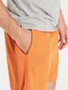 Virtus Pantaloni scurți sport pentru bărbați Virtus Spier