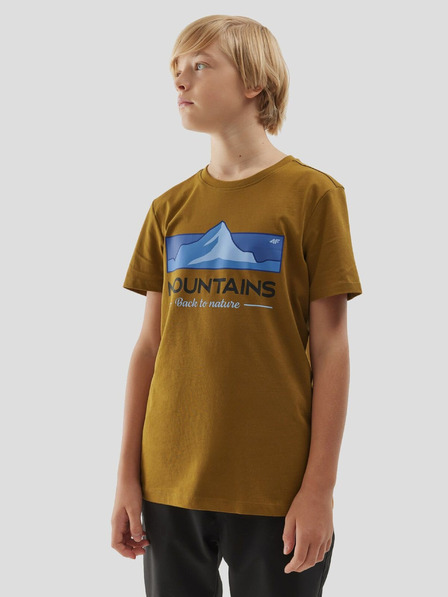 4F Tricou de bumbac pentru băieți