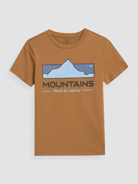 4F Tricou de bumbac pentru băieți