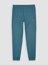 4F Pantaloni sport 4F pentru bărbați