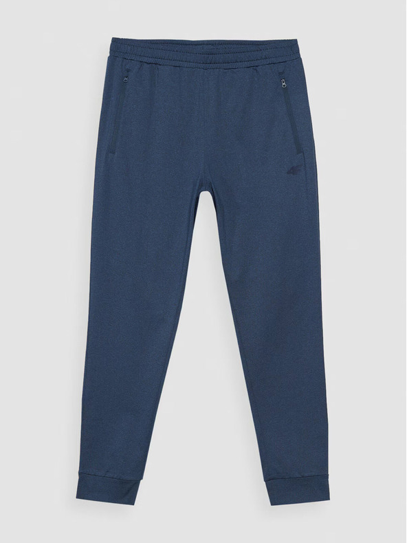 4F Pantaloni sport 4F pentru bărbați