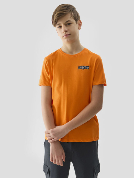 4F Tricou băieți din bumbac organic cu imprimeu 4F