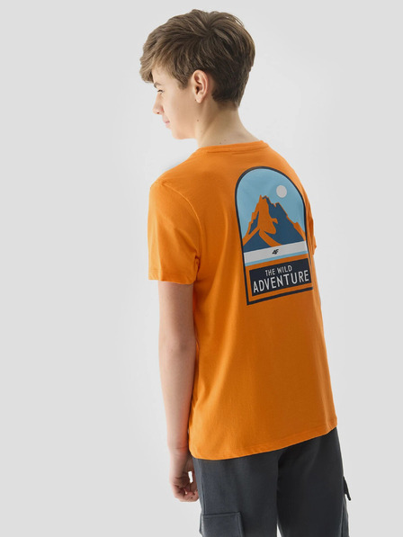 4F Tricou băieți din bumbac organic cu imprimeu 4F
