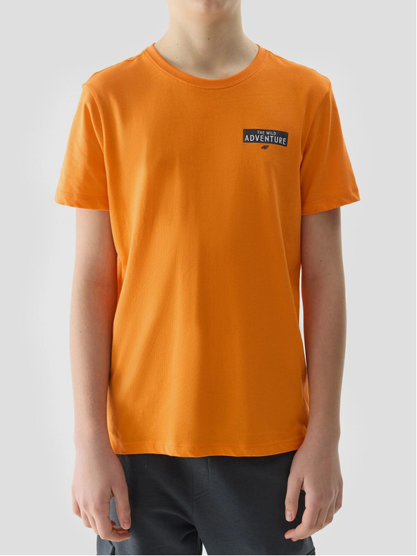 4F Tricou băieți din bumbac organic cu imprimeu 4F