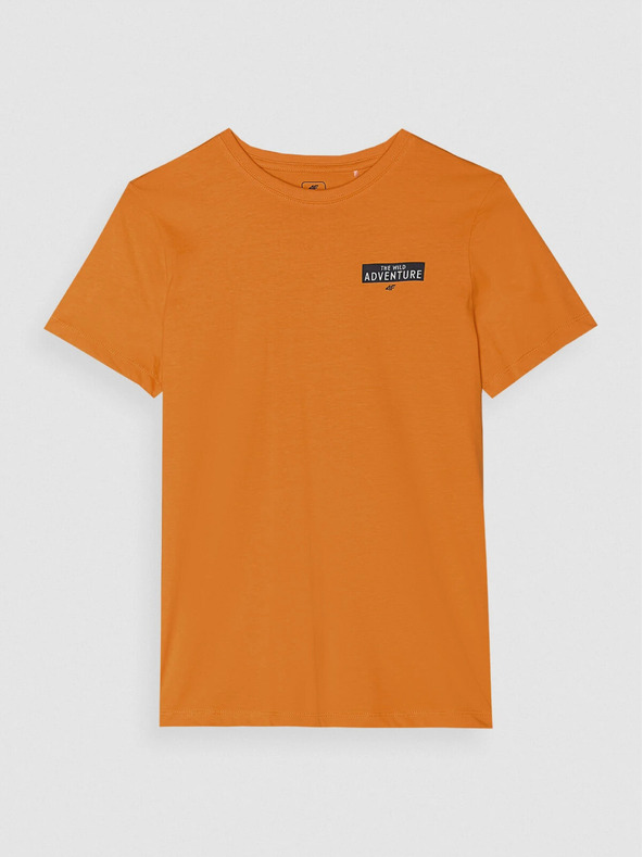 4F Tricou băieți din bumbac organic cu imprimeu 4F