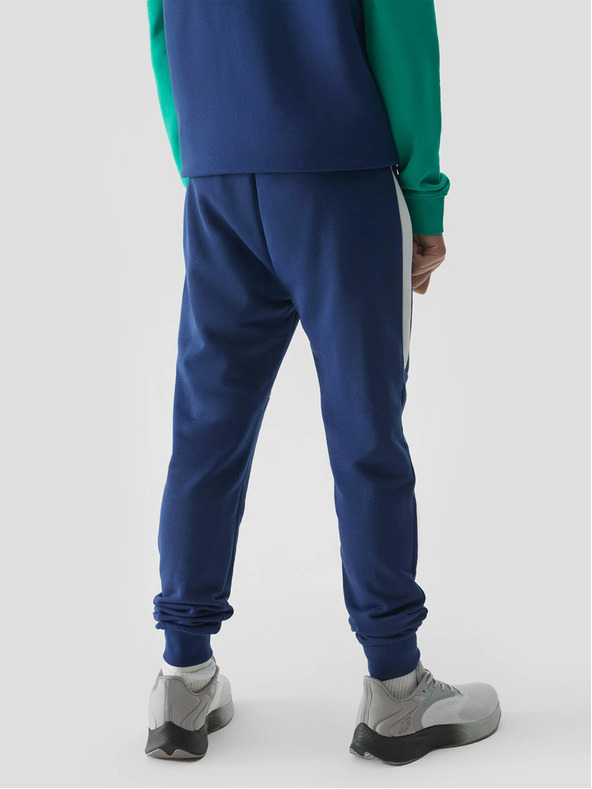 4F Pantaloni de trening jogger pentru băieți 4F