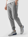 4F Pantaloni sport 4F pentru bărbați