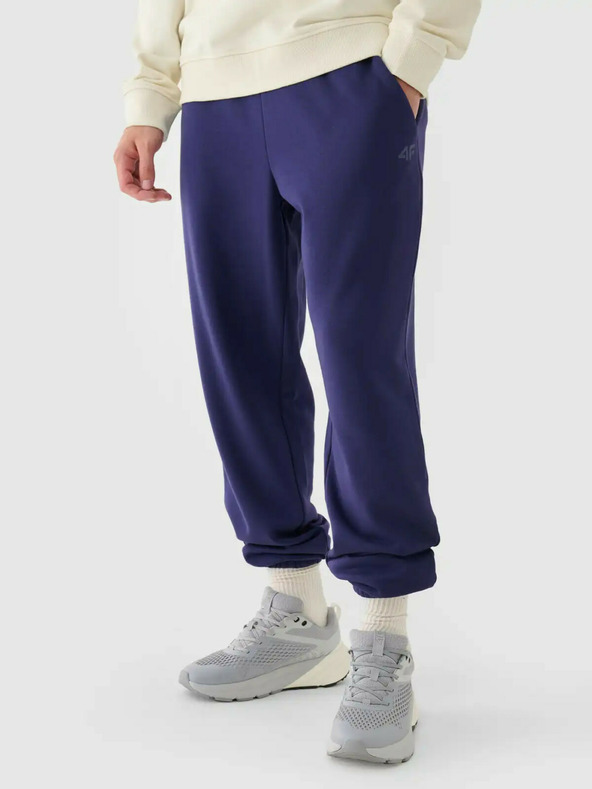 4F Pantaloni de trening pentru bărbați 4F