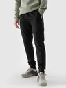 4F Pantaloni sport 4F pentru bărbați