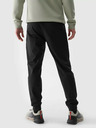4F Pantaloni sport 4F pentru bărbați