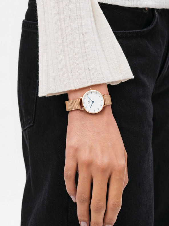 Daniel Wellington Ceas în culoare roz-auriu pentru femei Daniel Wellington mesh Petite Melrose