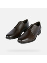Geox Pantofi de ceremonie maro pentru bărbați Geox Walk Pleasure F