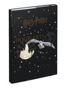 BAAGL  A4 Harry Potter Hogwarts Stema de arme Baagl