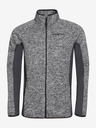 ALPINE PRO Hanorace pentru bărbați ALPINE PRO QELEN dk.true gray