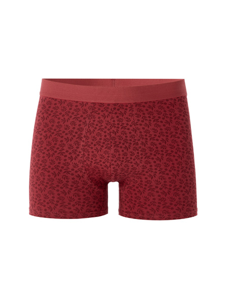 Celio Boxeri Miboflori