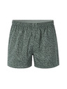 Celio Boxeri Miwobuds