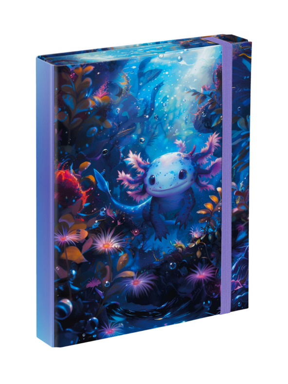 BAAGL  BAAGL Mape pentru caiete școlare A5 Axolotl