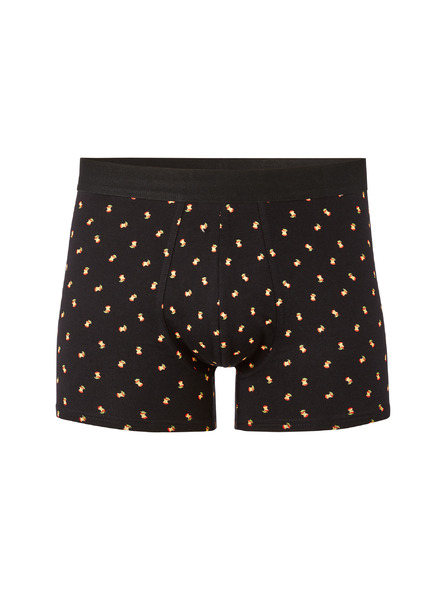 Celio Boxeri Liboapple