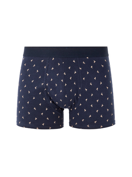 Celio Boxeri Liboflam