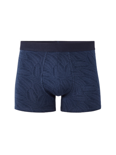 Celio Boxeri Liboleaf