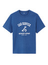 Celio Tricou Lecar
