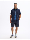 Celio Tricou Lecar