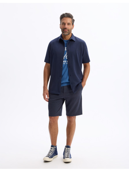 Celio Tricou Lecar