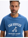 Celio Tricou Lecar