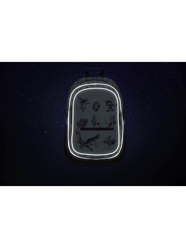 BAAGL  BAAGL 3 SET Core Harry Potter Animale Fantastice: rucsac, penar, sac