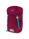 BAAGL  Rucsac BAAGL Tracker Roi