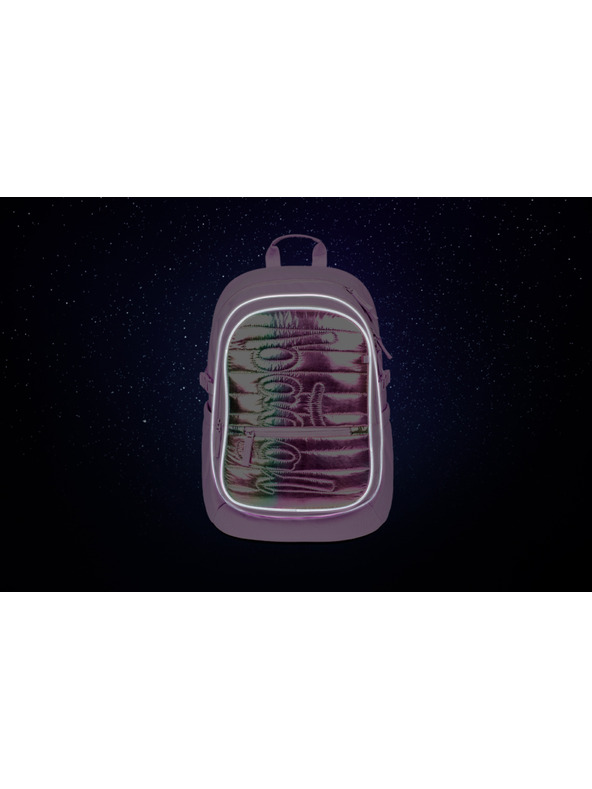 BAAGL  BAAGL Rucsac Şcolar Core Lavender