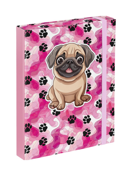 BAAGL  BAAGL Mapă pentru caiete școlari A5 Lăbuțe