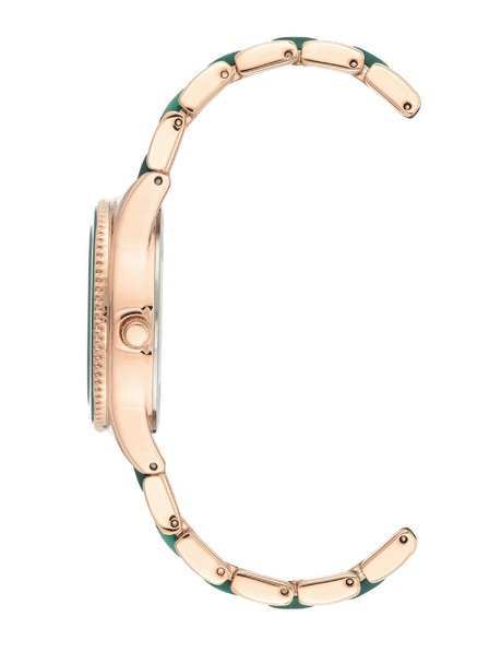 Anne Klein Ceas de damă Anne Klein AK/3770GNRG