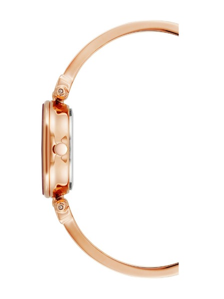 Anne Klein Ceas de damă Anne Klein AK/1980BYRG