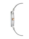 Anne Klein Ceas de damă Anne Klein AK/3223SMRT