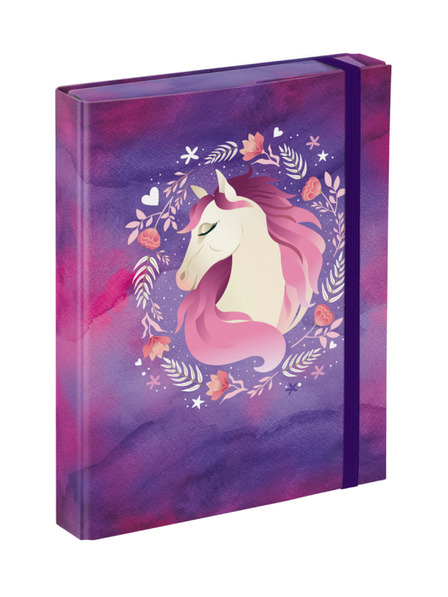 BAAGL  BAAGL Mapă pentru caiete școlare A5 Cal