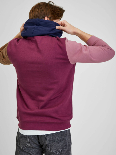 GAP Hanorac multicolor cu logo GAP