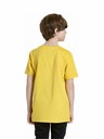 Meatfly Meatfly tricou pentru copii Bart Vanilla | Galben