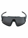 Meatfly Meatfly ochelari de soare polarizați Nate Morph Black
