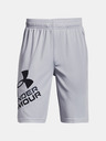 Under Armour Boys' Shorts Under Armour Prototype 2.0 Logo Shorts