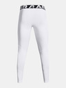Under Armour Colanți bărbătești Under Armour UA CG Armour Leggings