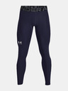 Under Armour Jambiere Under Armour UA HG Armour pentru bărbați