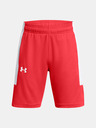Under Armour Pantaloni scurți Under Armour UA Baseline pentru băieți