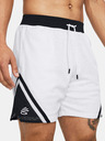 Under Armour Pantaloni scurți Under Armour Curry Mesh 4 pentru bărbați