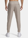 Under Armour Pantaloni de trening Under Armour UA Meridian Joggers-BRN
