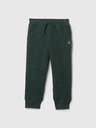GAP Baby pantaloni căptușiți GAP