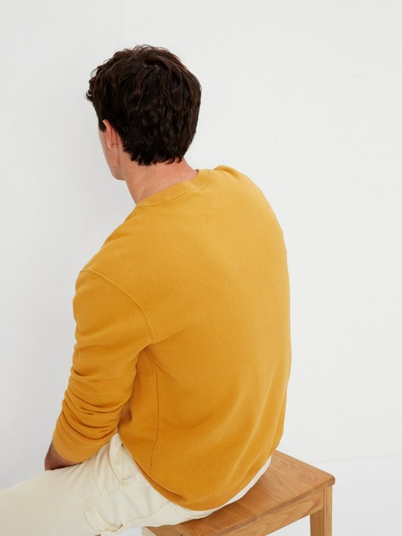 GAP Hanorac Gap Athletic GAP