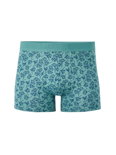 Celio Boxeri Libofloral